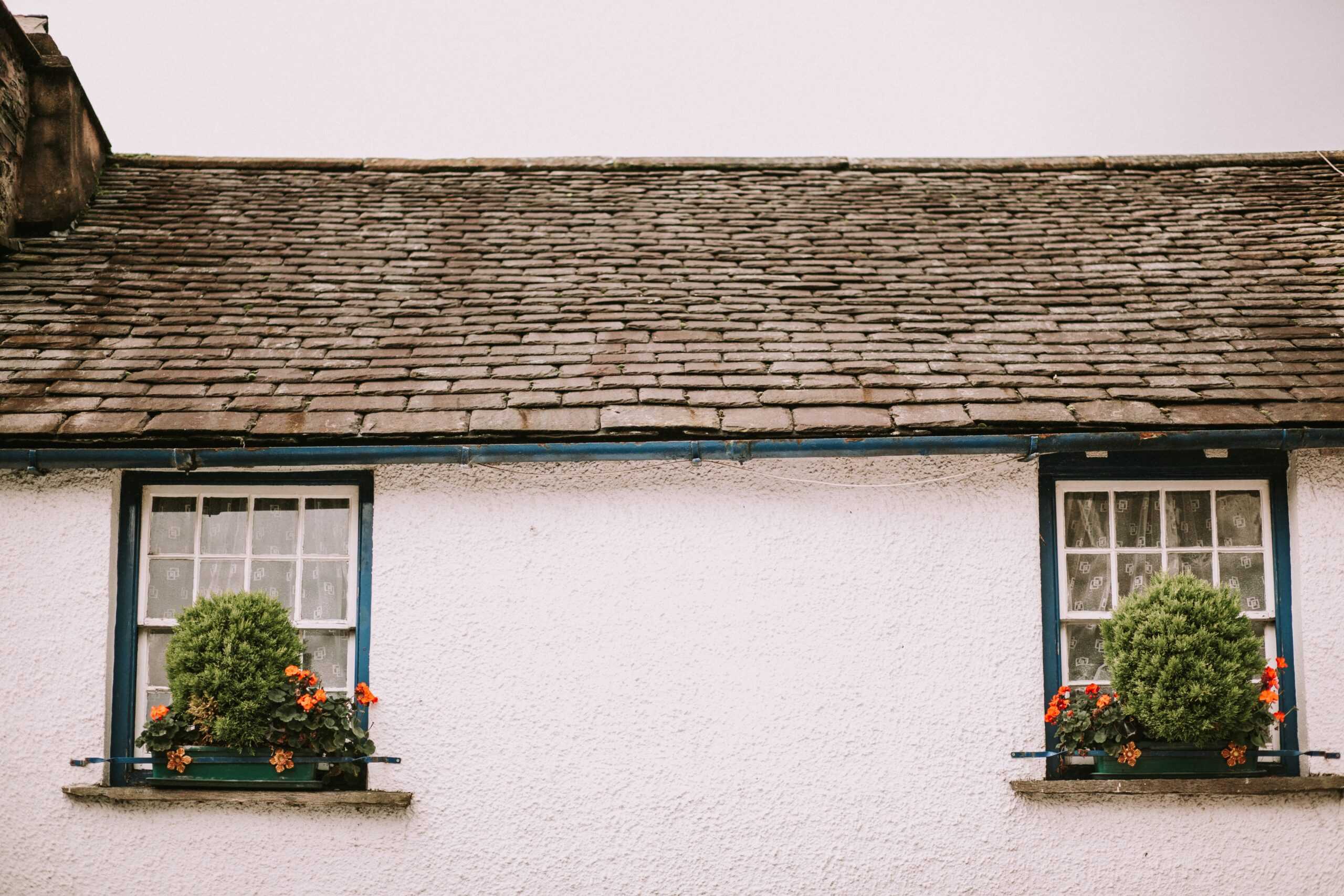 Mold in your roof