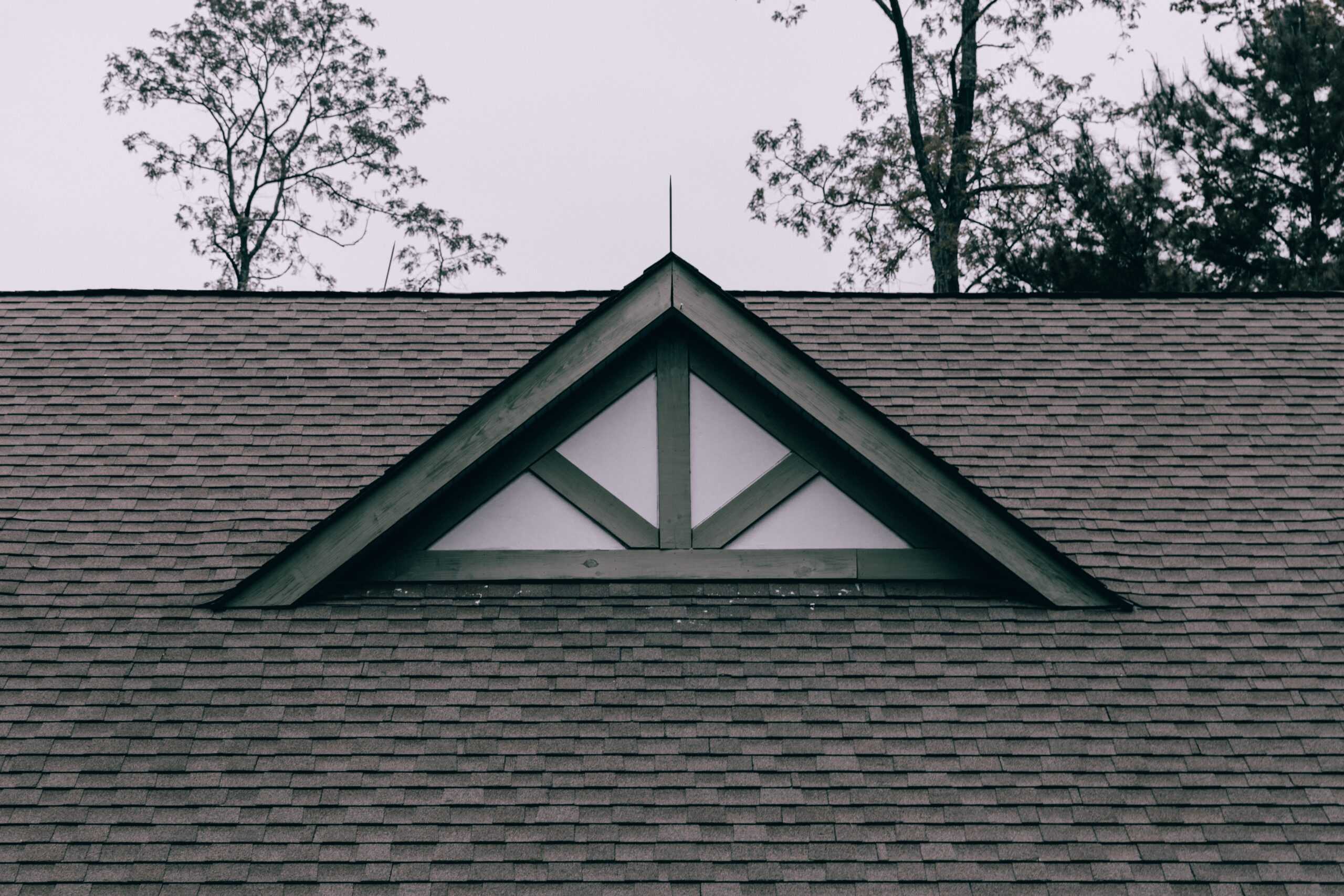 roof shingles