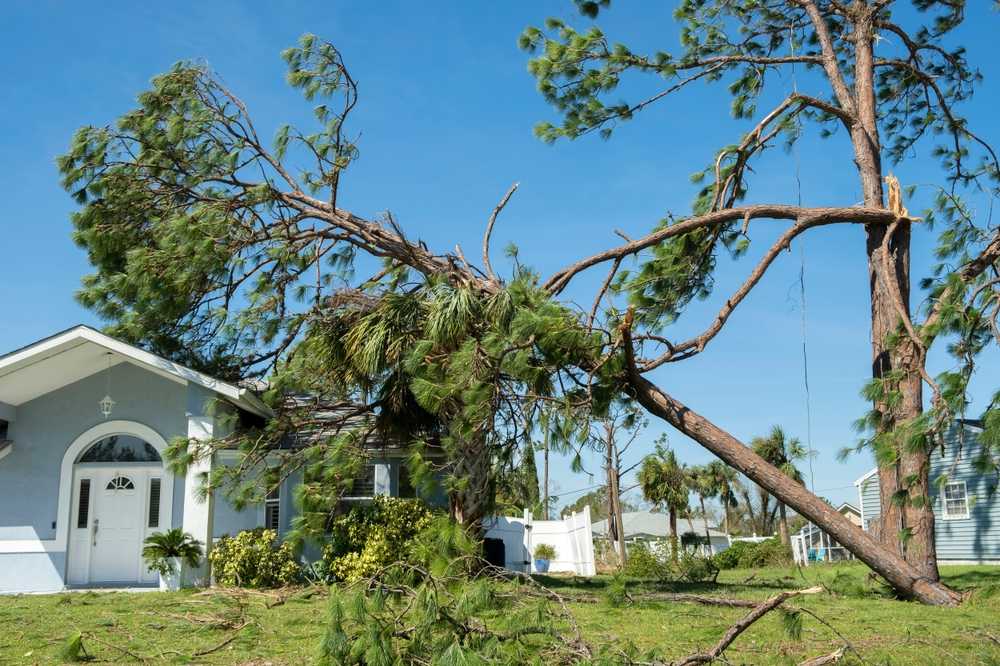 Storm Damage Repair Services You Can Trust in Florissant, MO