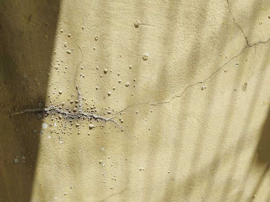 house siding repair services