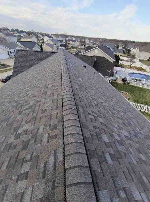 average cost to replace roof shingles
