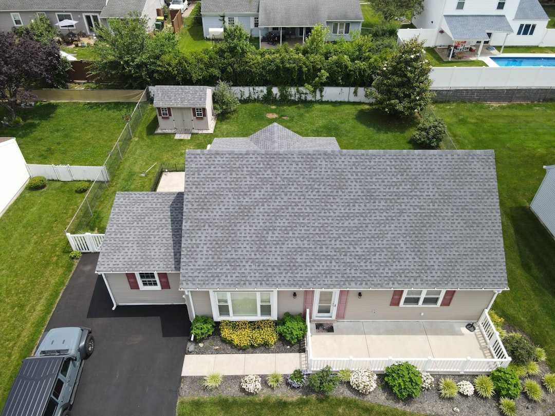 roof moss removal service on asphalt shingles