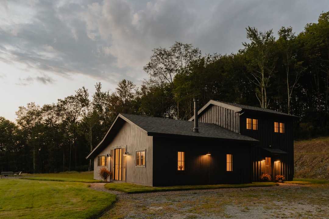 black siding homes exterior with warm wood accents